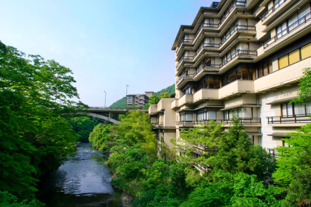 3_hanamurasaki.jpg