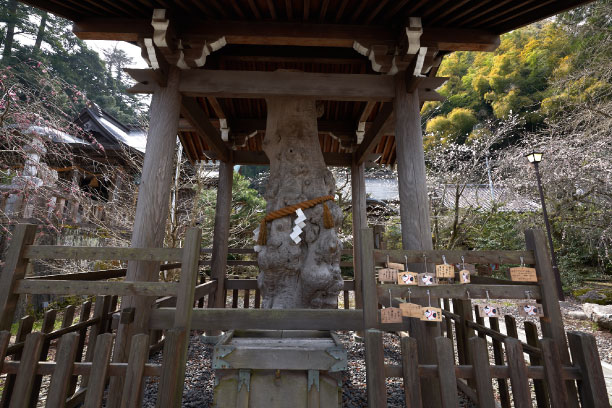 3_kaga_shinmeigu_shrine.jpg