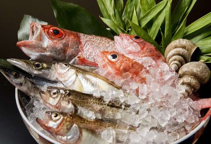 3_kappo-morimoto.jpg
