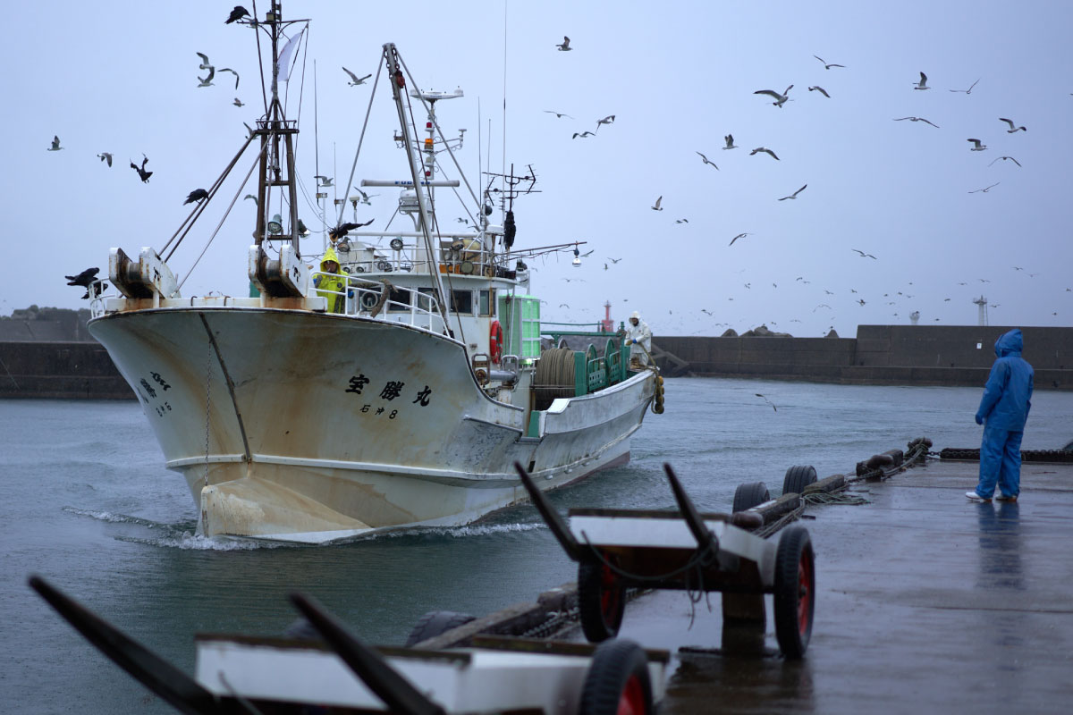 Hashitate’s Fishing port, the fishing boat is coming back after a night of fishing in the Japan Sea 