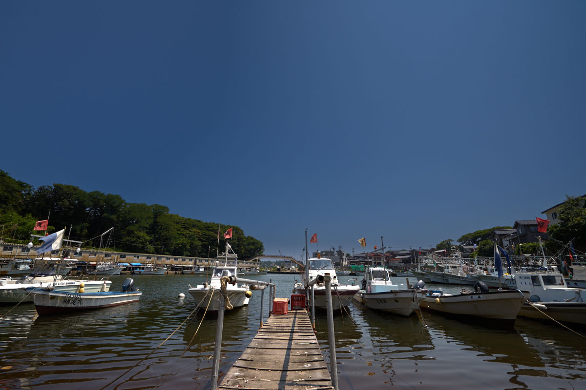 Rows of boats in the sheltered harbour