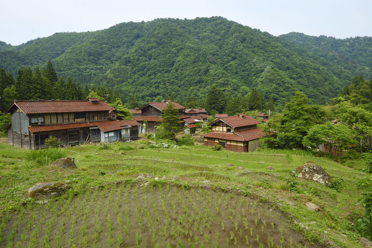 Charming view of Japanese rural landscape