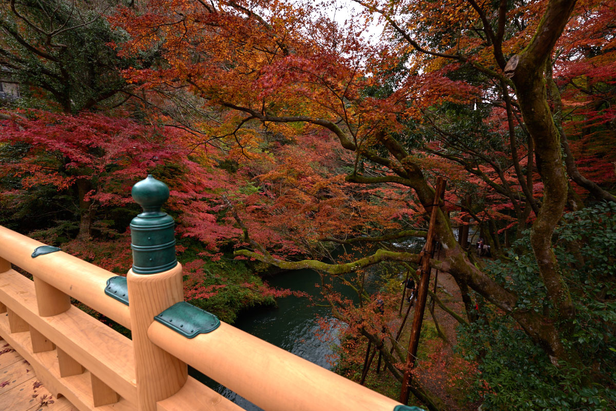  Autumn leaves scenery from Korogi Bridge