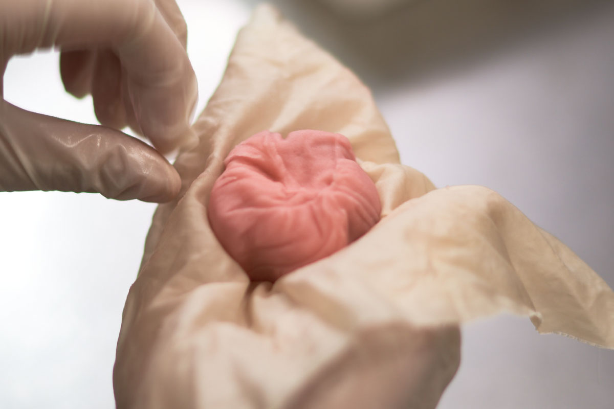 2_exp_wagashi.jpg