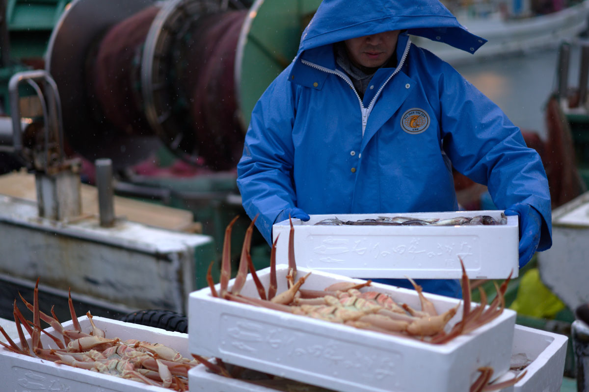 Mr. Yuya, the owner of Kassen Shintoku fish-shop restaurant, receives the fish products 