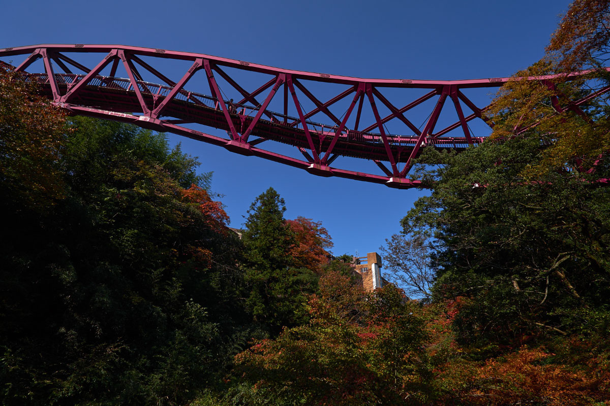  A modern Ayatori Bridge
