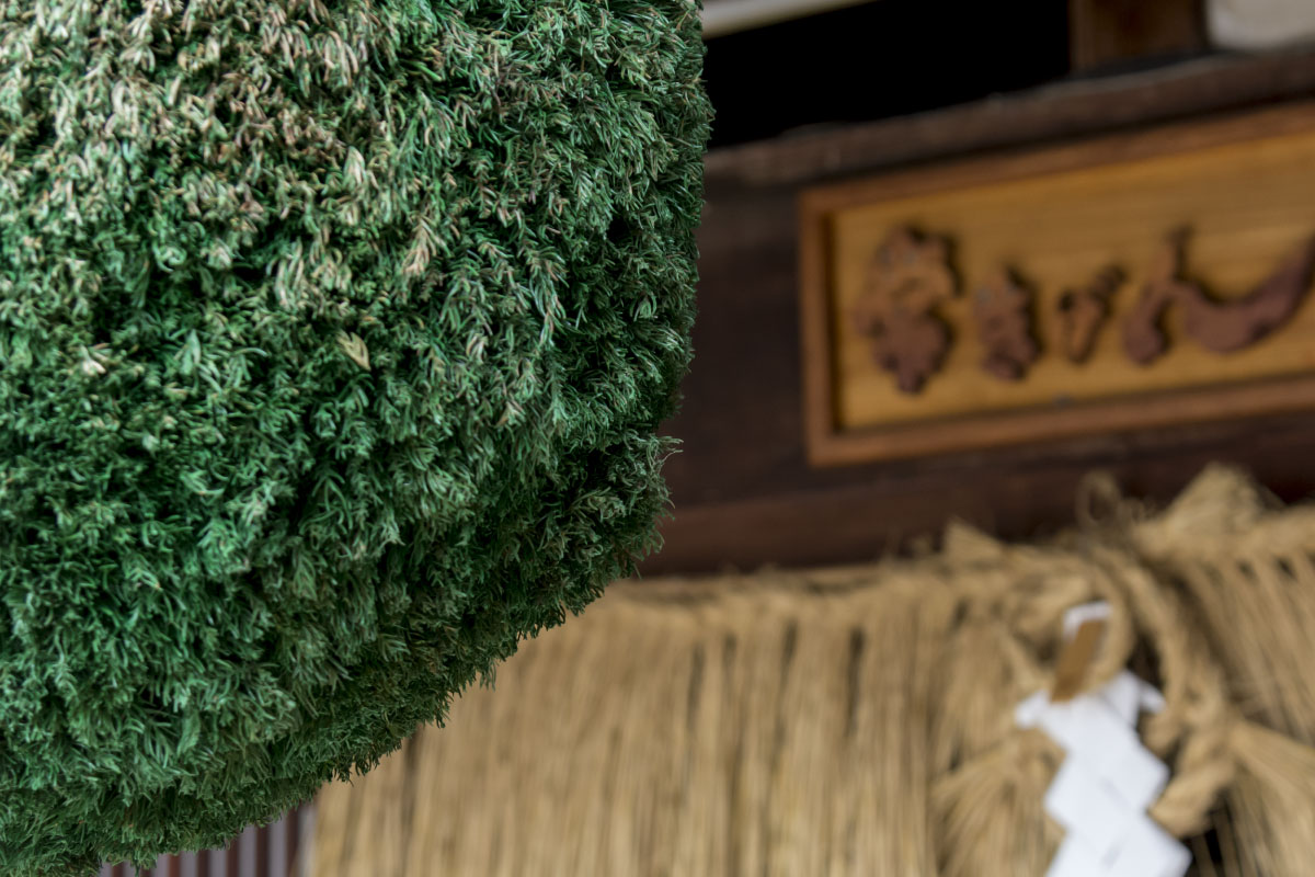  A green Sugidama hanging at the entrance of a brewery