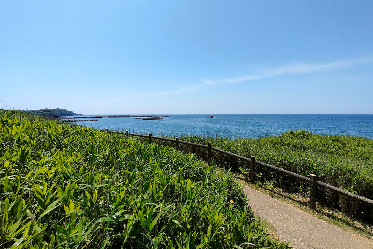 Visitors can take a 4km nature trail running along windswept cliffs
