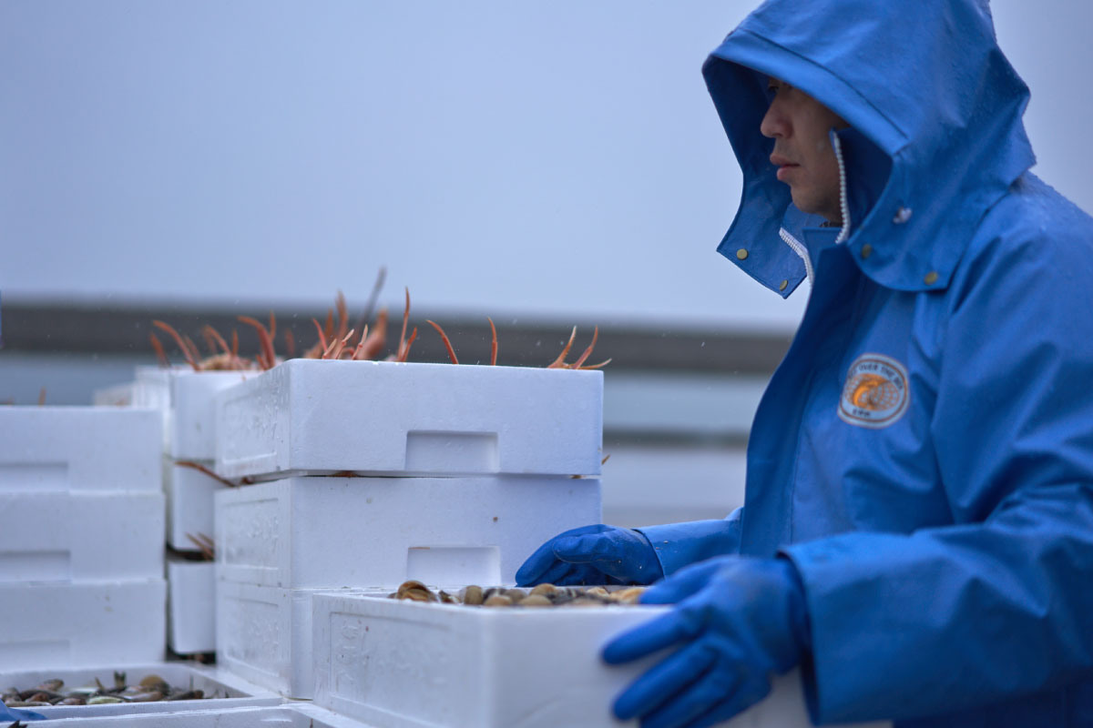 In the Yuya family, the sea has been the food resource for generations