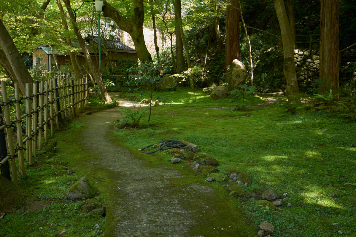 They have an old tearoom in charming Japanese garden