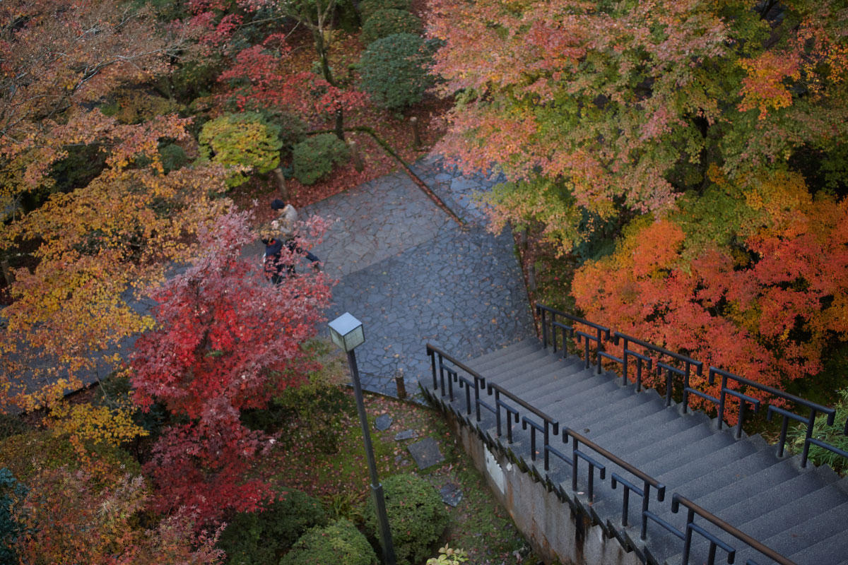 In autumn season