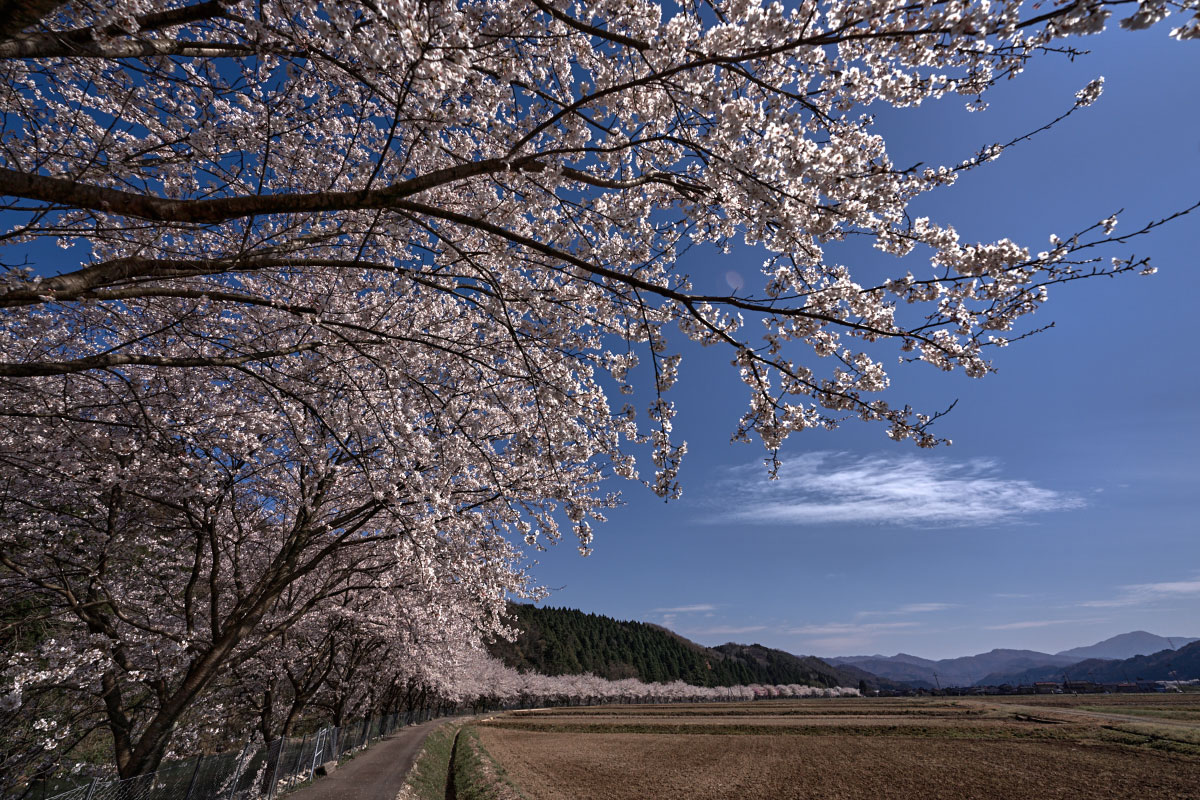 In the mountainside of Yamanaka Onsen 