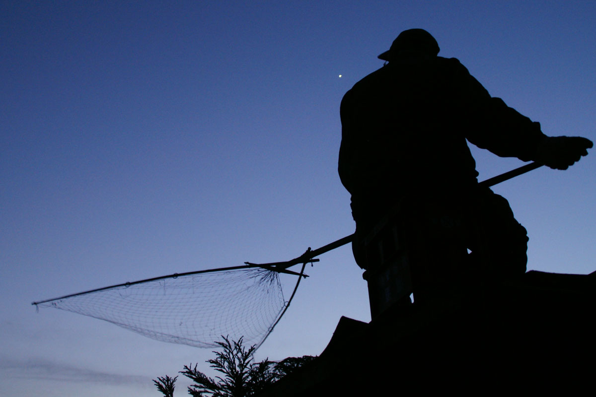 Traditional ‘Sakaami Duck Hunting’