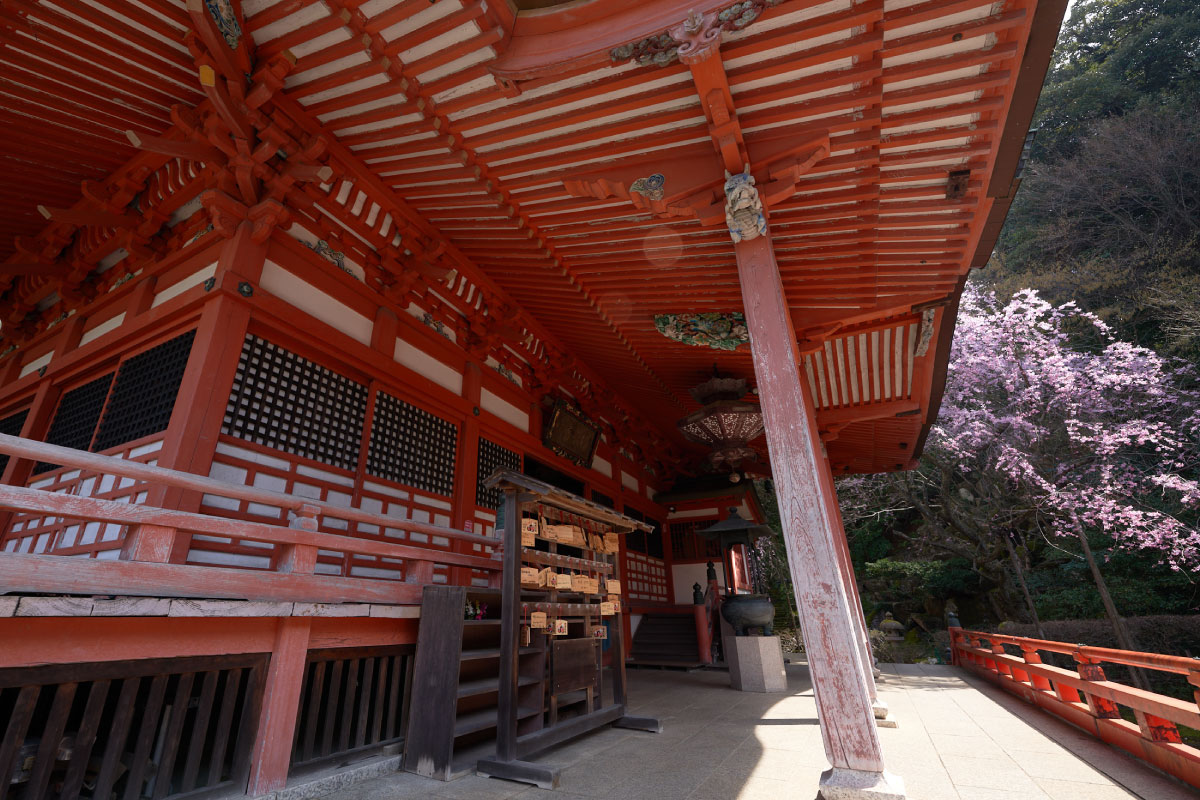 A view from the temple and its garden
