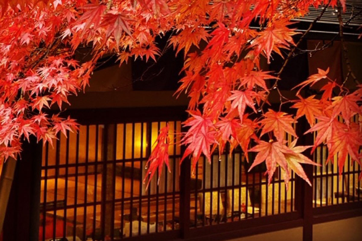 In autumn season