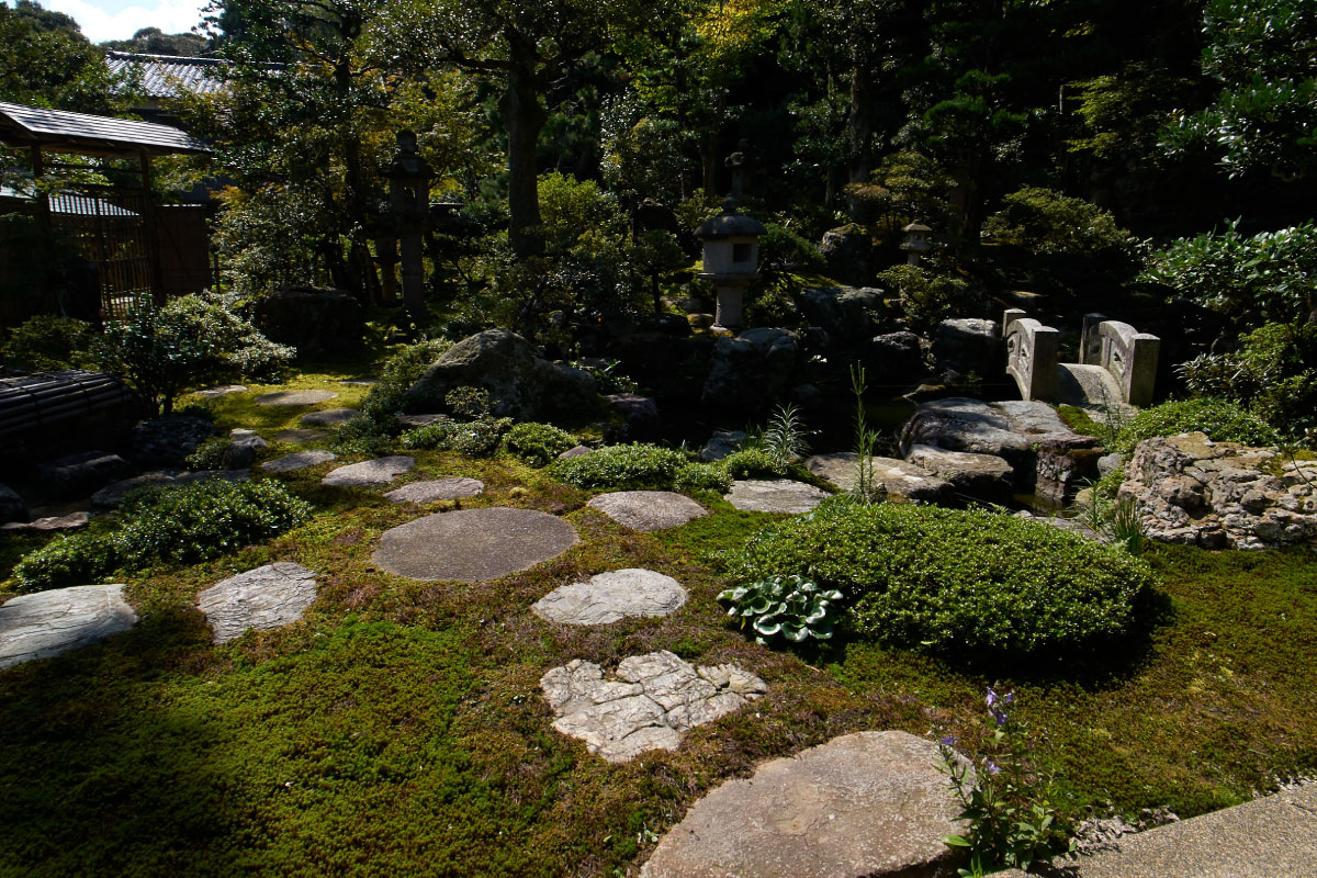 Visitors can enjoy seasonal flowers and plants in the garden