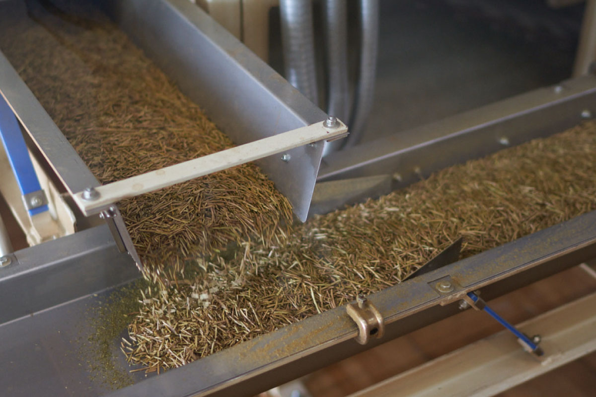 The process of roasting hōjicha tea leaves.