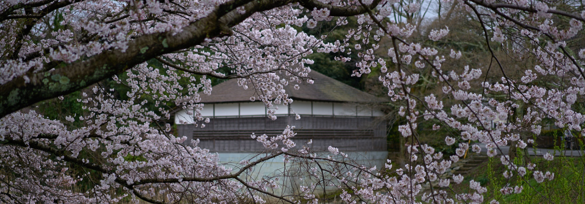 enuma_shrine_choryutei.jpg