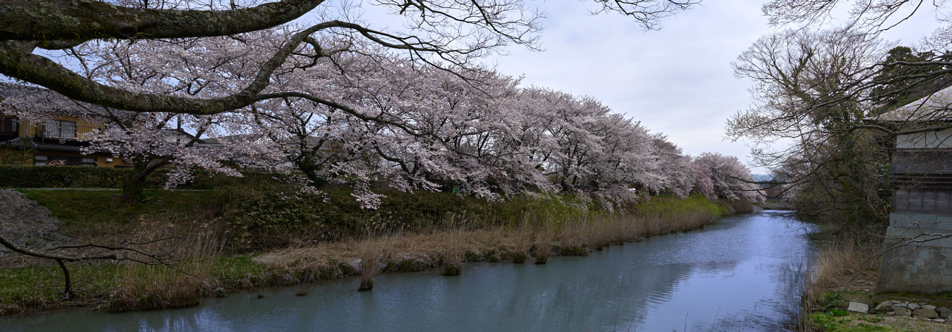kyu_daishoji_river.jpg