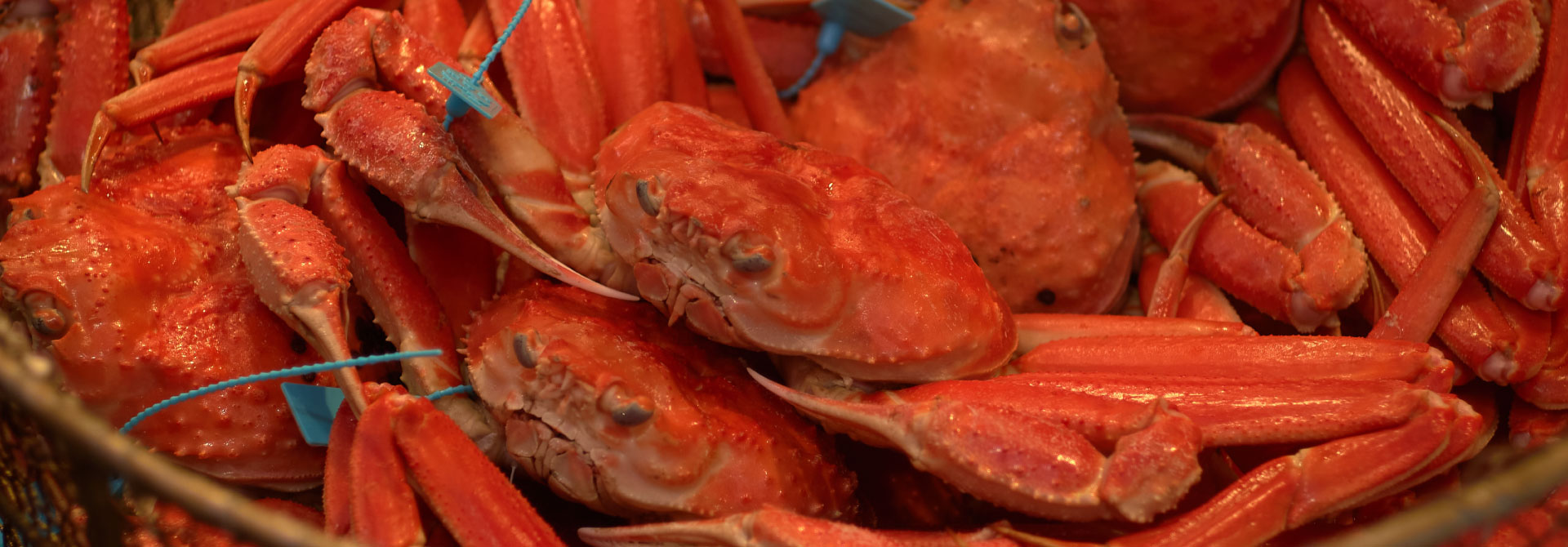 seafood.jpg