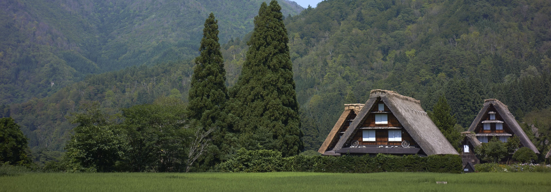 shirakawago.jpg