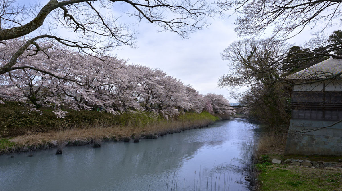 Daishoji