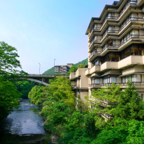 1_hanamurasaki.jpg