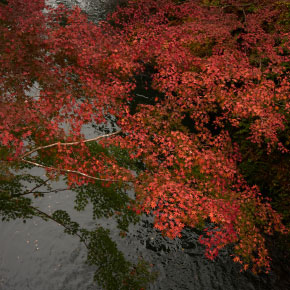 autumn.jpg