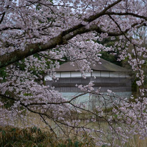 enuma_shrine_choryutei.jpg