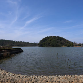 kashima_forest.jpg