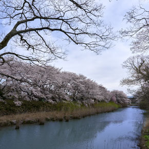 kyu_daishoji_river.jpg