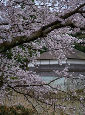 enuma_shrine_choryutei.jpg