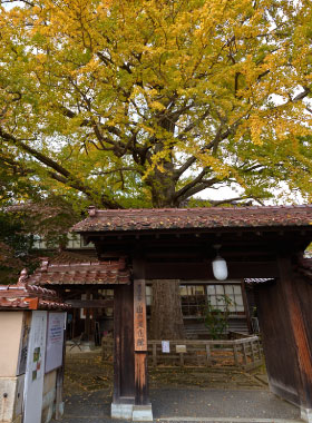 fukada_kyuya.jpg