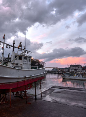 Rows of boarts are lining at the harbour