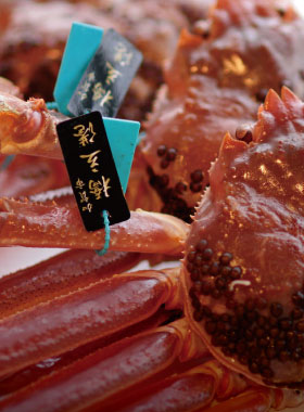 seafood.jpg